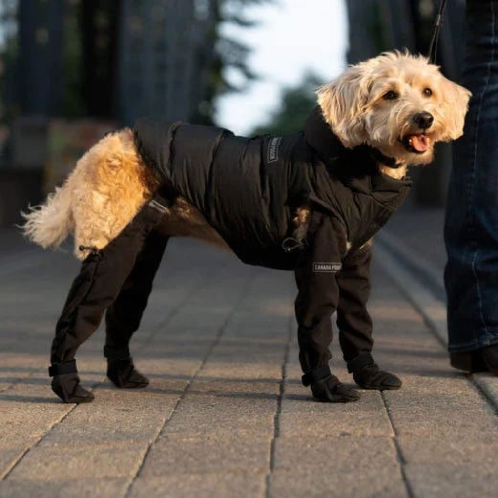 Durable Dog Boots for All Weather Protection – water-resistant Dog Shoes for Snow, Hiking, and Walking-4