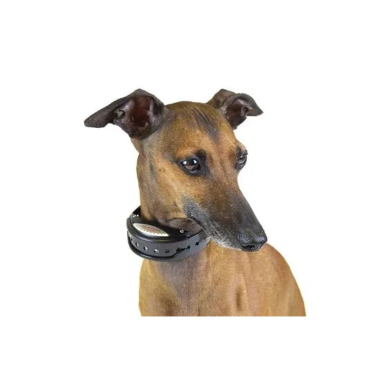 Num'Axes Canicalm Sonic – Ultrasone anti-blafband voor gevoelige honden