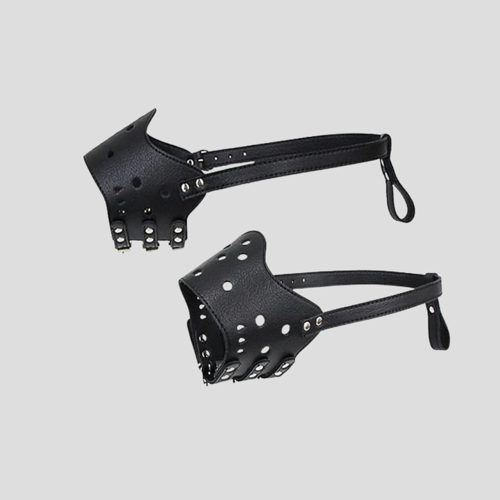 Hondenmuilkorf met beveiligd ontwerp voor de veiligheid van huisdieren