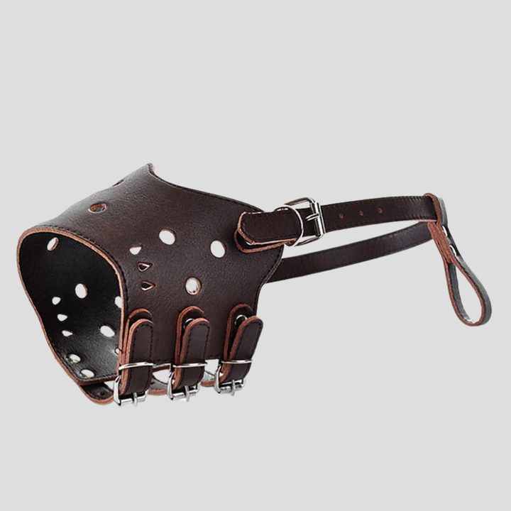 Hondenmuilkorf met beveiligd ontwerp voor de veiligheid van huisdieren