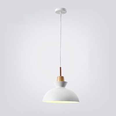 AuroraLite Scandinavische Hanglamp | Design in Metaal | 1-Lichts | Moderne Kleuropties