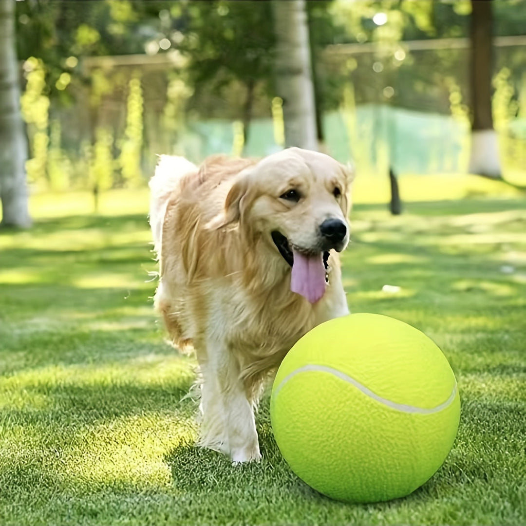 Extra Duurzame Tennisbal voor Grote Honden – Ideaal voor Spel en Buitenactiviteiten