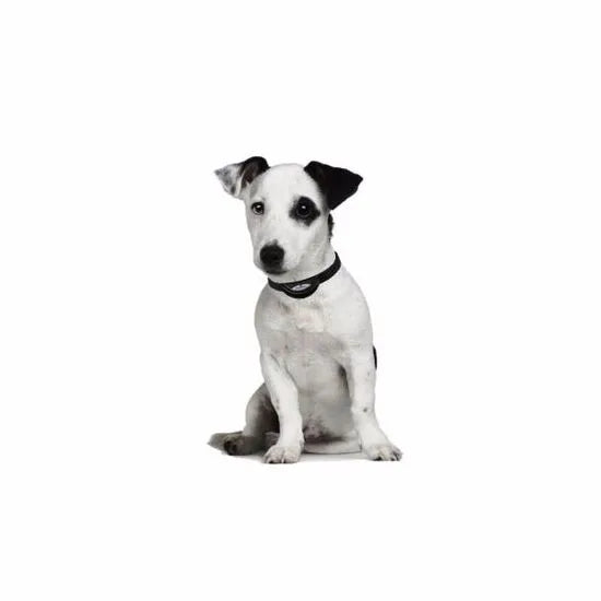 Num'Axes Canicalm Sonic – Ultrasone anti-blafband voor gevoelige honden