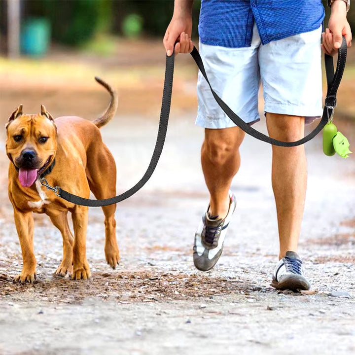 Reflecterende hondenriem
