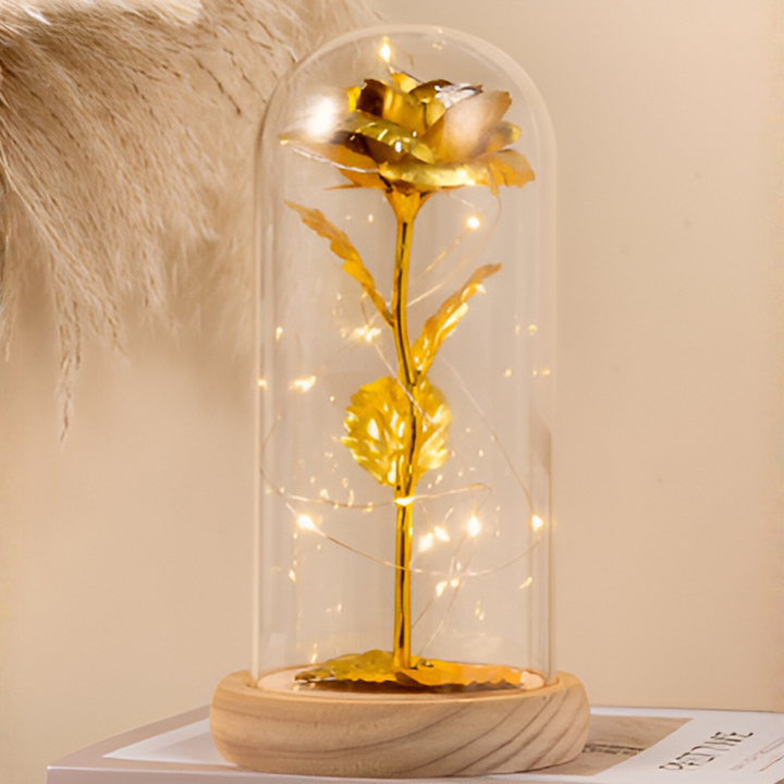 Eeuwige roos met led-licht in glazen koepel