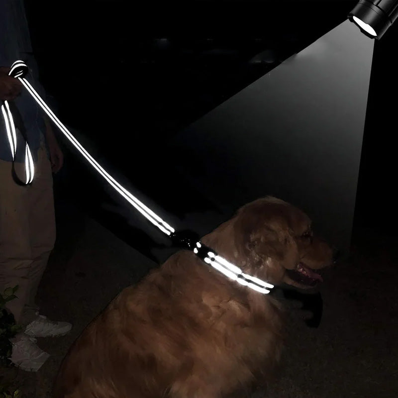 Reflecterende hondenriem