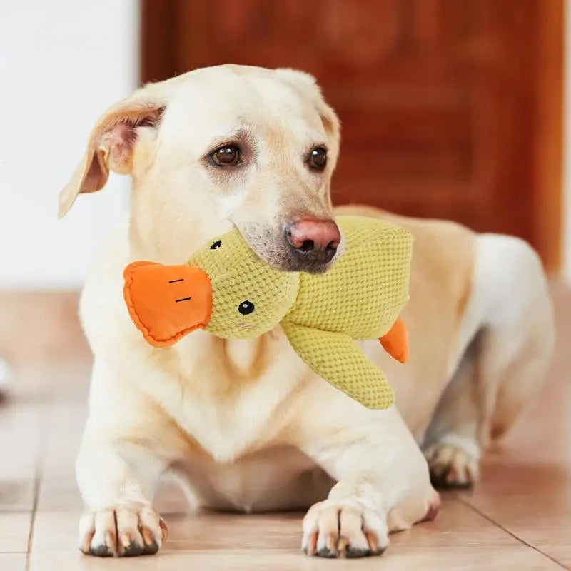 Duurzaam hondenspeeltje hondenknuffel
