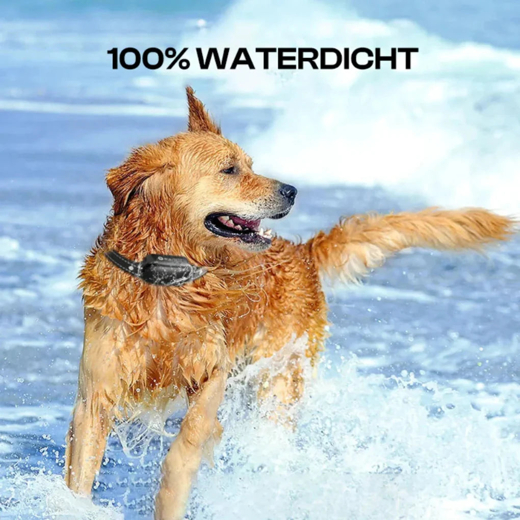 Electric Dog Training Collar with Remote Control, water-resistant, 16 Adjustable Shock Levels, 1000m Range, Beep & Vibration Modes-5