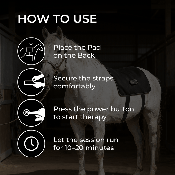 LED-rugwikkel voor paarden met roodlichttherapie