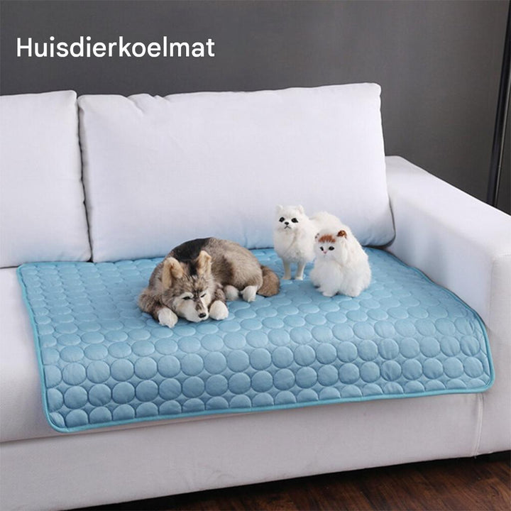 Huisdier Koelmat met IJszijde voor Honden en Katten in de Zomer