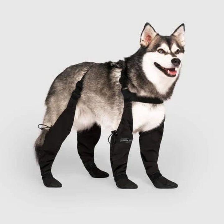 Durable Dog Boots for All Weather Protection – water-resistant Dog Shoes for Snow, Hiking, and Walking-1