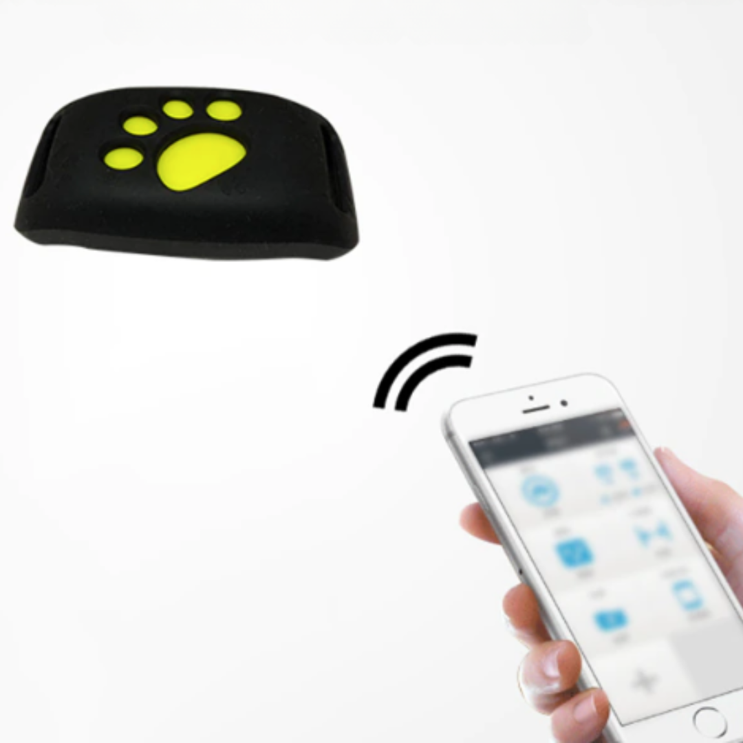 PetSafe GPS-halsband voor huisdieren - realtime tracking, waterdicht en zonder abonnement