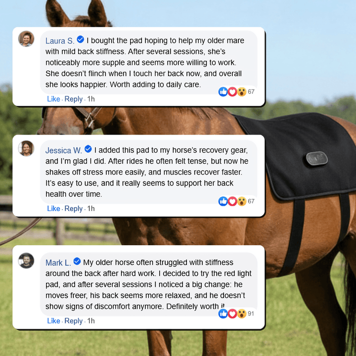 LED-rugwikkel voor paarden met roodlichttherapie