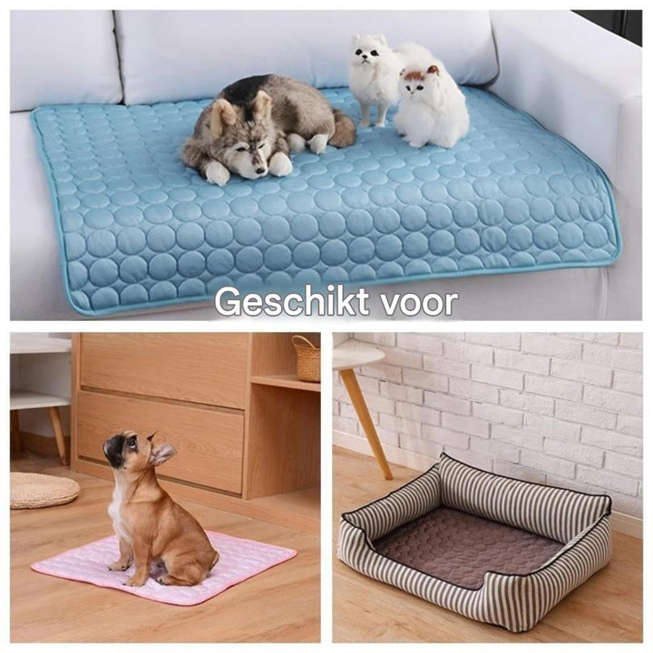Honden Koelmat voor de Zomer met Comfortabel Koud Ligvlak