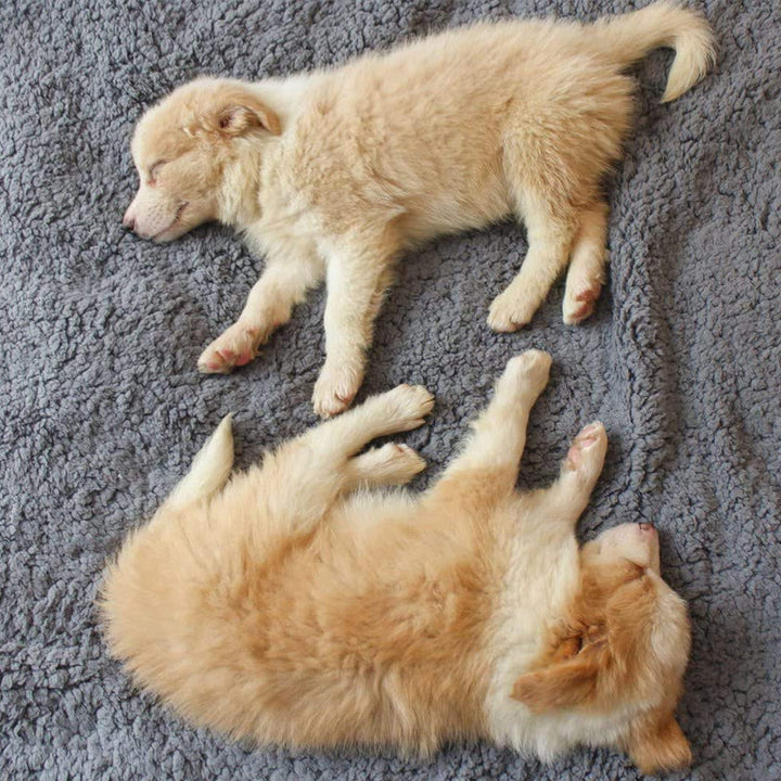 Zachte puppydekens – SnuggleFur Fleece