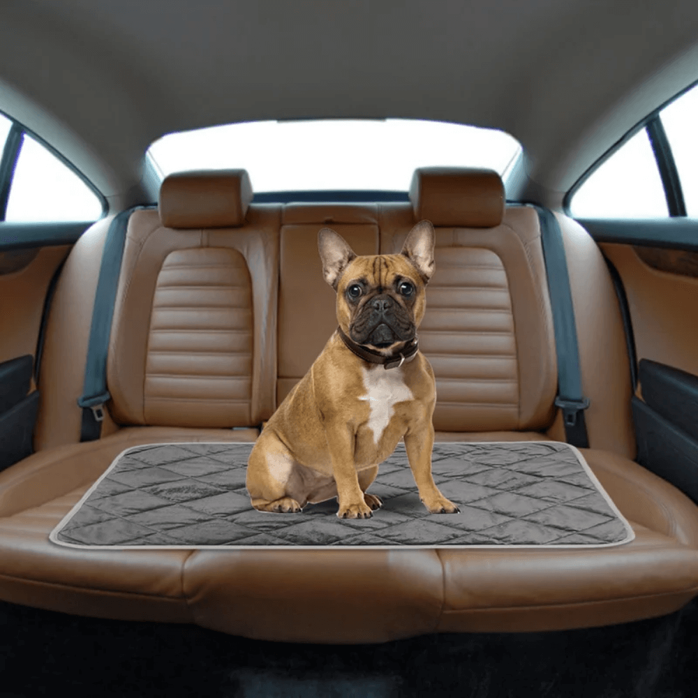 Zelfverwarmend ligkussen voor hond en kat met antislip onderkant