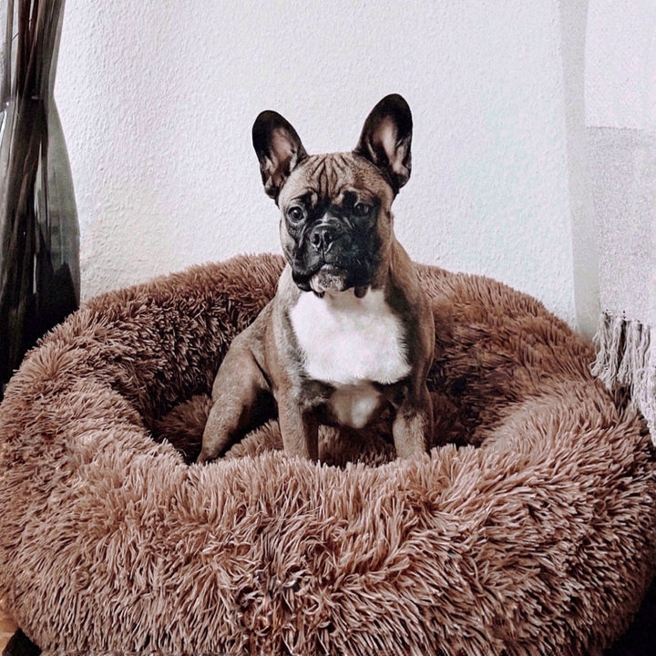 Fluffy Plus Hondenmand – Het Origineel