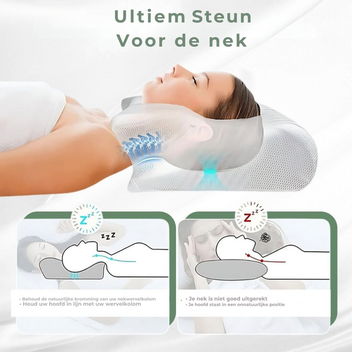 DreamAlign Orthopedisch Kussen – Luxe Traagschuim Kussen bij Nekpijn & Alle Slaaphoudingen