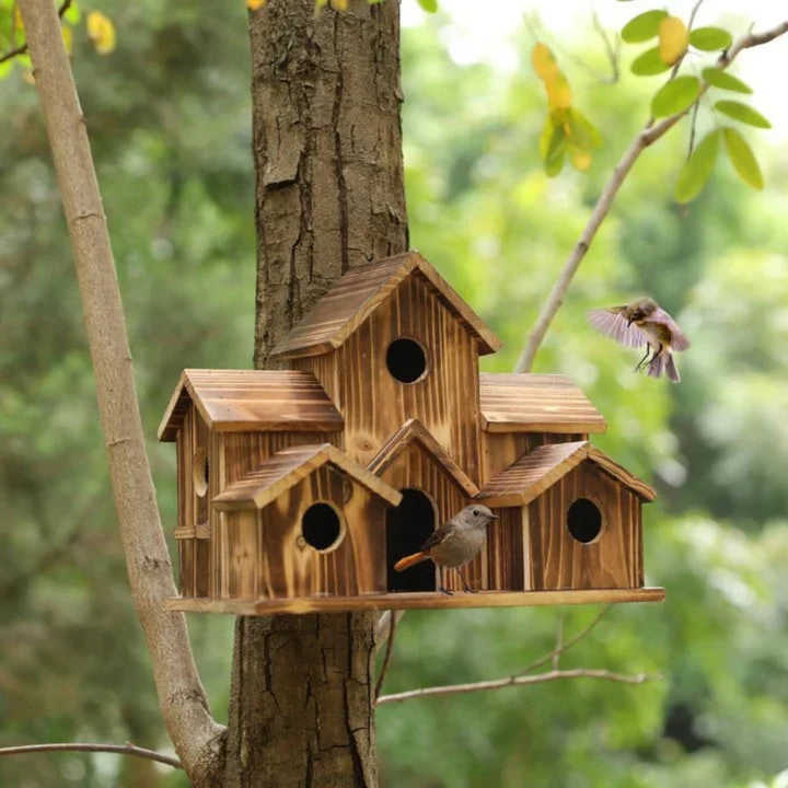 Vogelhuisje met 6 openingen