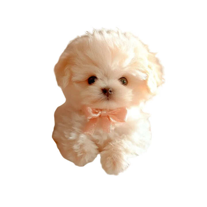 Interactief pluchen puppy-speelgoed voor kinderen met beweging en geluid