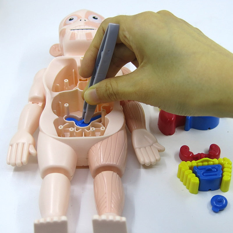 Educatieve Anatomieset voor Kinderen – Dr. Bones