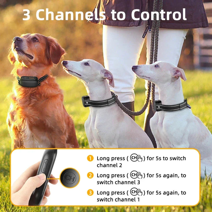 Elektrische trainingshalsband voor honden met 1000 m bereik, waterdicht – PetTrainer