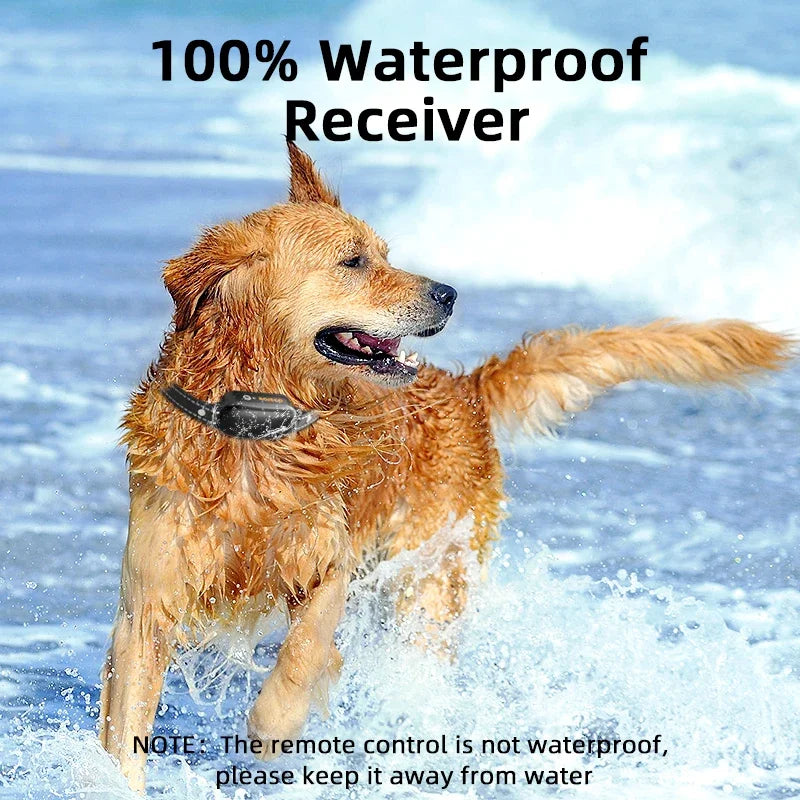 Elektrische trainingshalsband voor honden met 1000 m bereik, waterdicht – PetTrainer