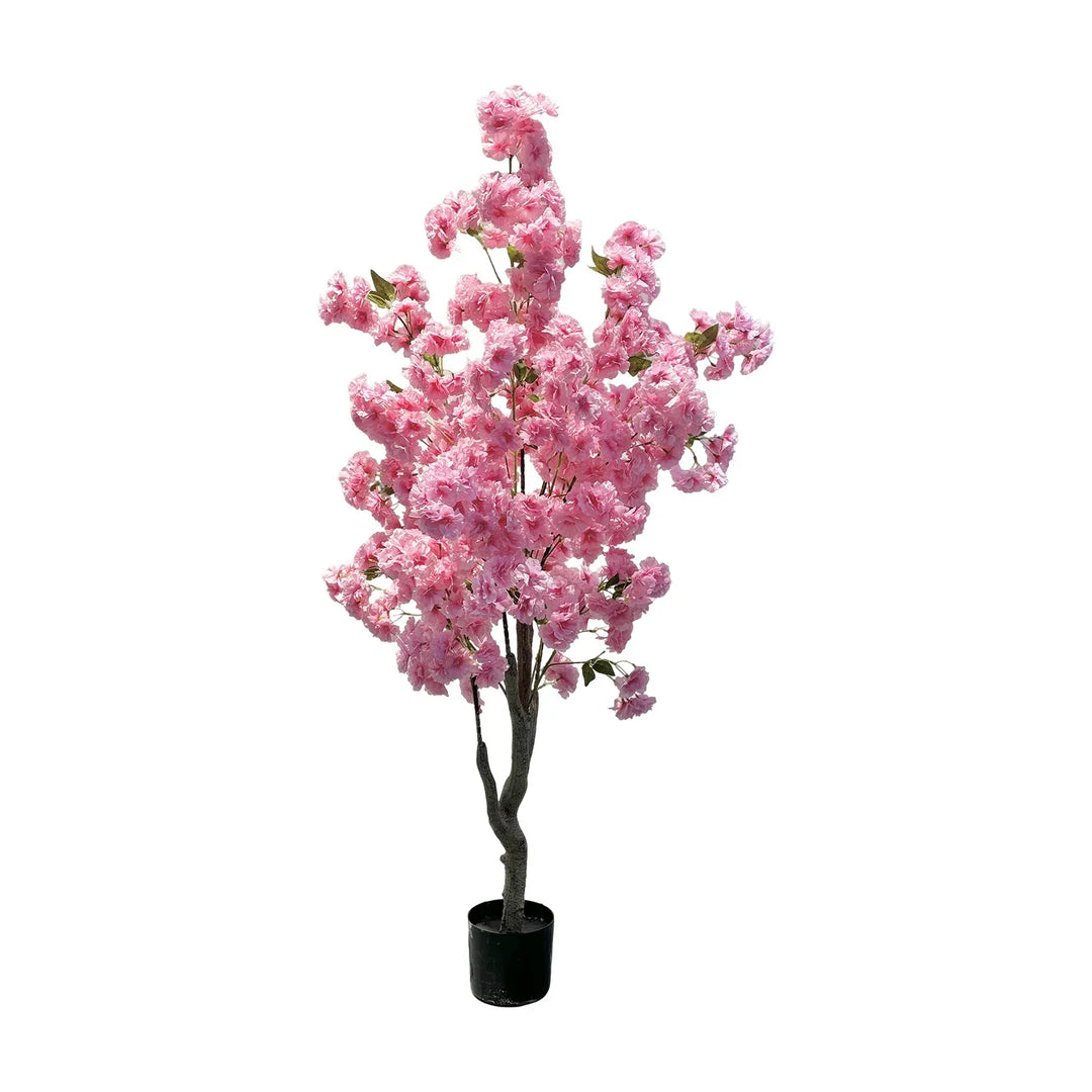 https://cdn.shopify.com/s/files/1/0886/0765/4234/files/S5c72de01418949968b96b84863408120k.webp?v=1745003296