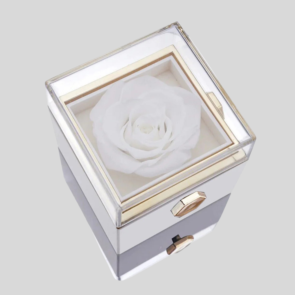 Eeuwige roos met op maat gemaakte gegraveerde ketting