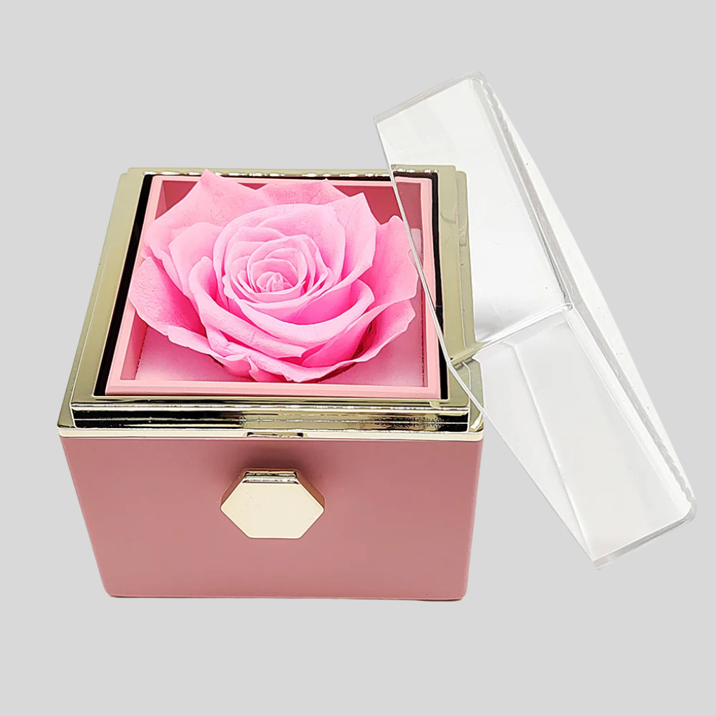 Eeuwige roos met op maat gemaakte gegraveerde ketting