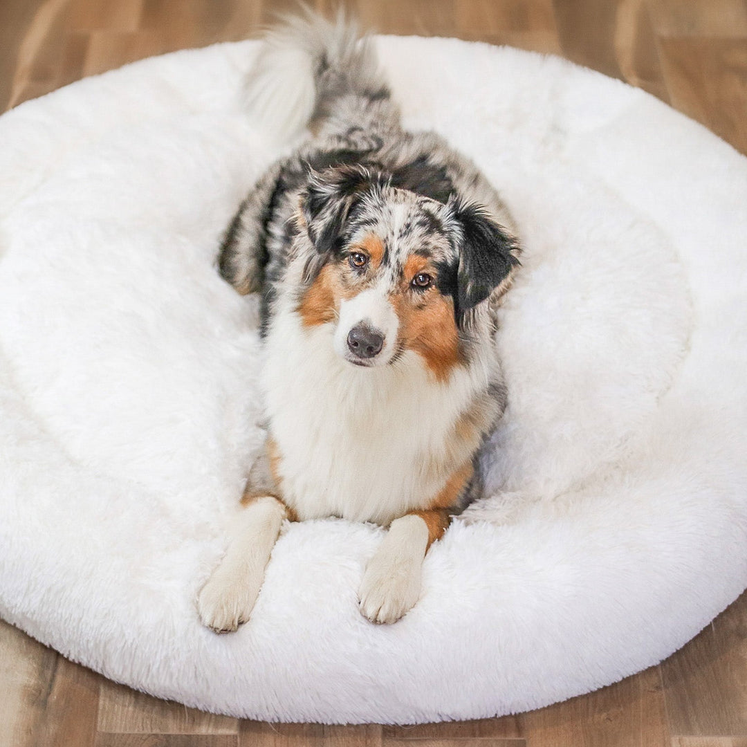 Fluffy Plus Hondenmand – Het Origineel