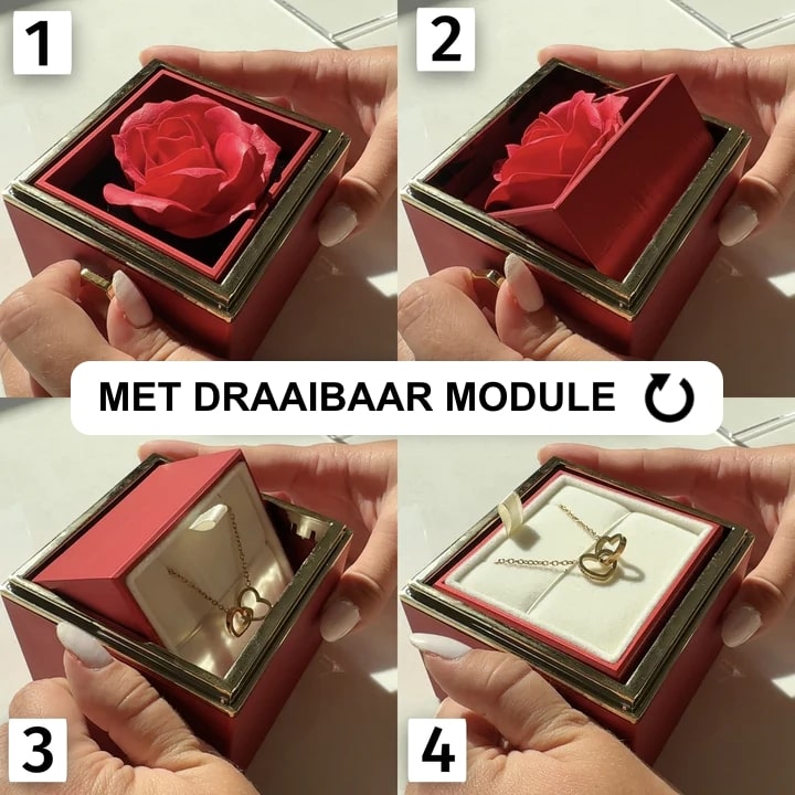 Cadeauset met Echte Roos & Dubbele Hart Halsketting