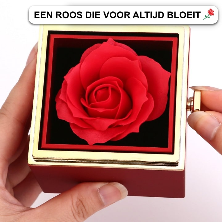 Cadeauset met Echte Roos & Dubbele Hart Halsketting