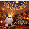 Kerstprojector nachtlampje voor muren en plafonds, USB-aangedreven feestdecoratie