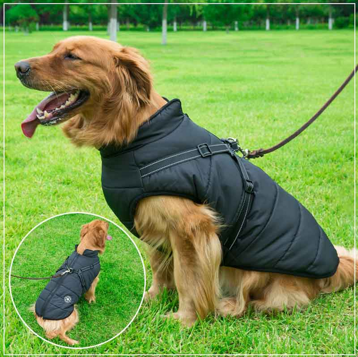 PupGuard - Winterjas voor honden met tuigje