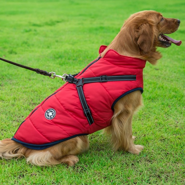 PupGuard - Winterjas voor honden met tuigje