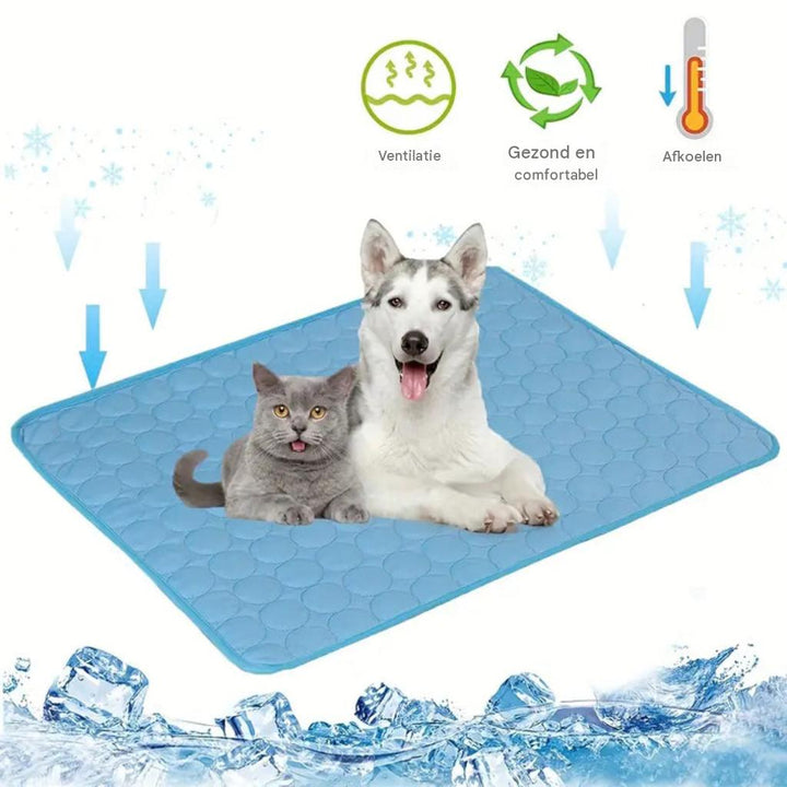 Honden Koelmat voor de Zomer met Comfortabel Koud Ligvlak