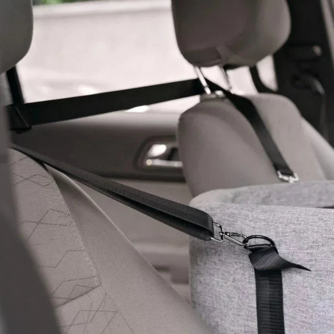 Carpoolzitje voor Huisdieren - PawVoyage