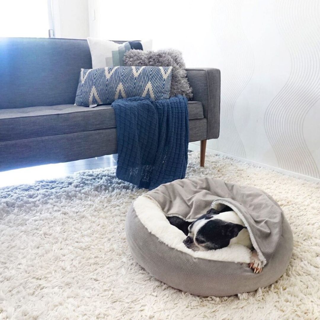 Winterhol voor Honden - SnuggleNest Winter
