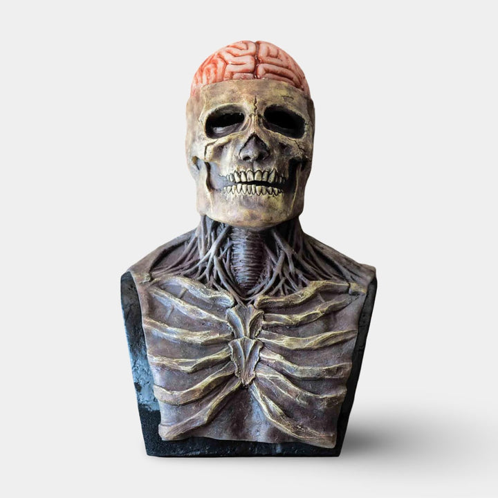 Halloween skeletbuste garagedeurhoes met zichtbare hersenen voor griezelige feestdecoratie
