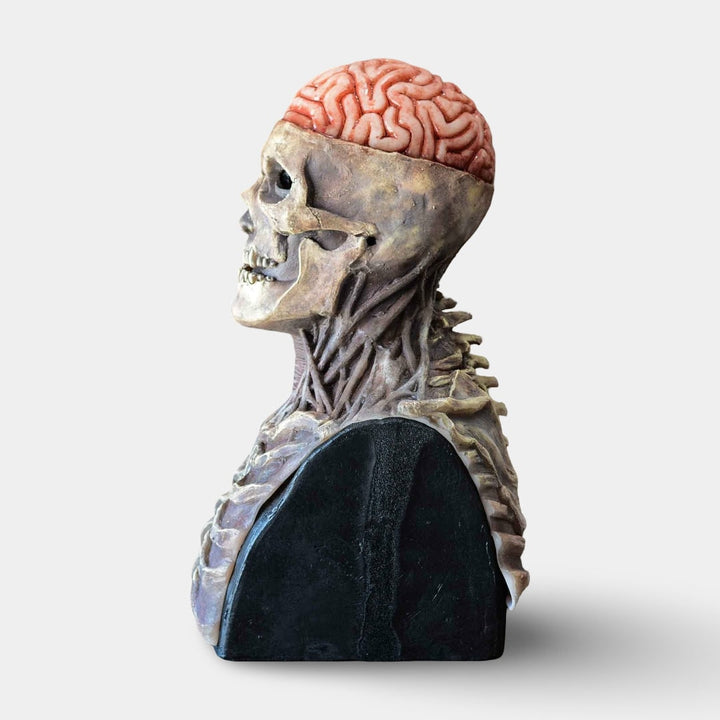 Halloween skeletbuste garagedeurhoes met zichtbare hersenen voor griezelige feestdecoratie
