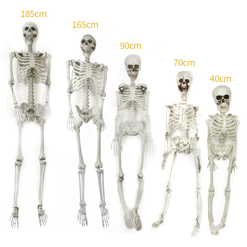 Halloween-skeletdecoratie en garagedeurhoes, verstelbaar plastic rekwisiet
