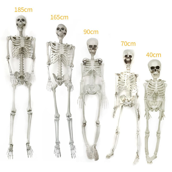 Halloween-skeletdecoratie en garagedeurhoes, verstelbaar plastic rekwisiet