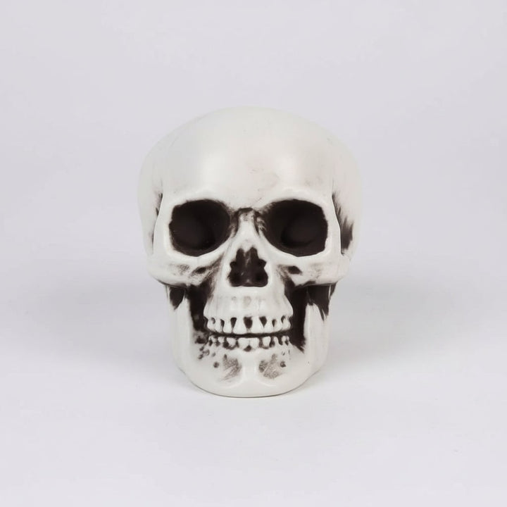 Halloween schedelrekwisieten en suikerdecoraties set van 10 mini plastic voor feest