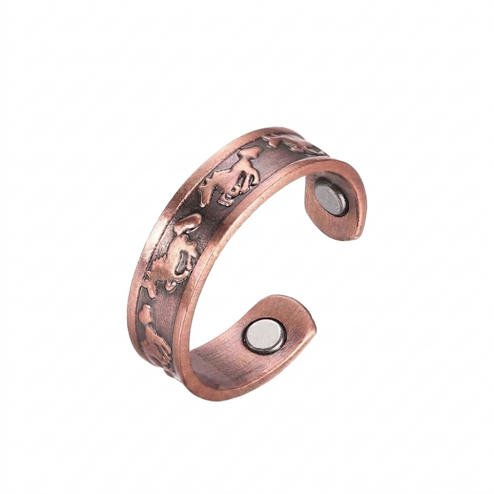Kleine Paard Magnetische Armband en Ring