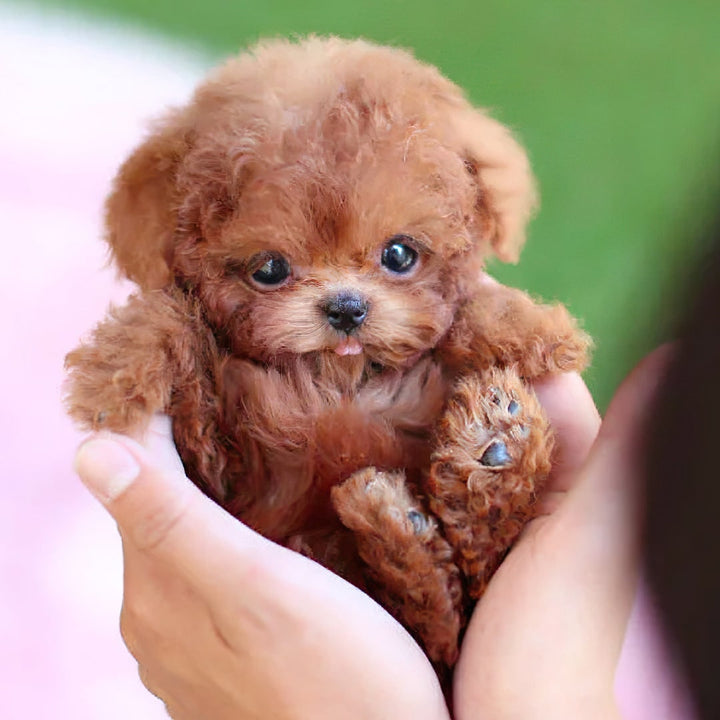 Interactieve realistische pluche puppy hondenspeelgoed met bewegende geluiden en zachte krullende vacht robot