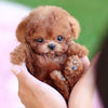 Interactieve realistische pluche puppy hondenspeelgoed met bewegende geluiden en zachte krullende vacht robot