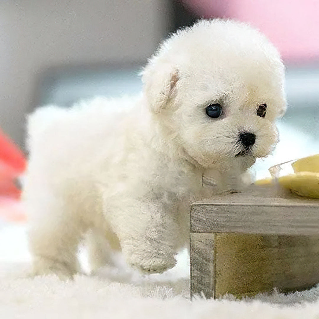Interactieve realistische pluche puppy hondenspeelgoed met bewegende geluiden en zachte krullende vacht robot