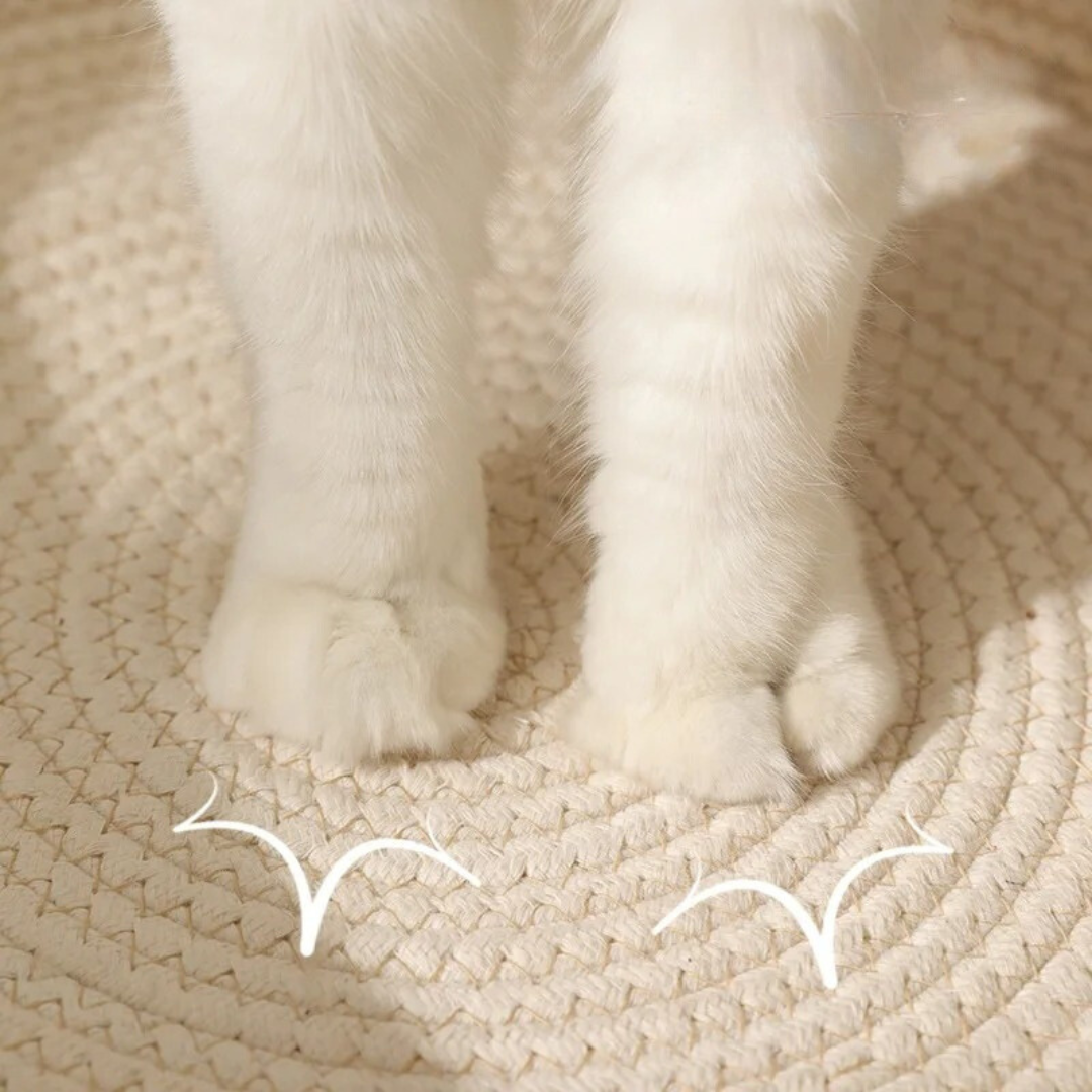Handgevlochten Katoenen Touwmand voor Katten - CozyNest