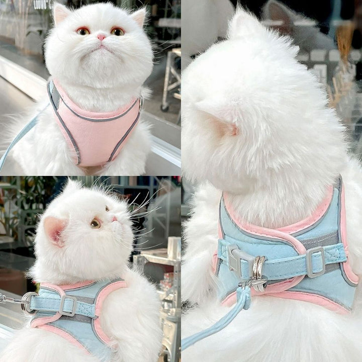Kattentuig – Oscar